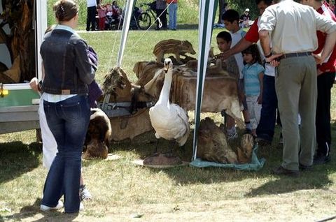 2011-05-29_kindertag11